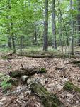 FR 0x009: Quechee State Park